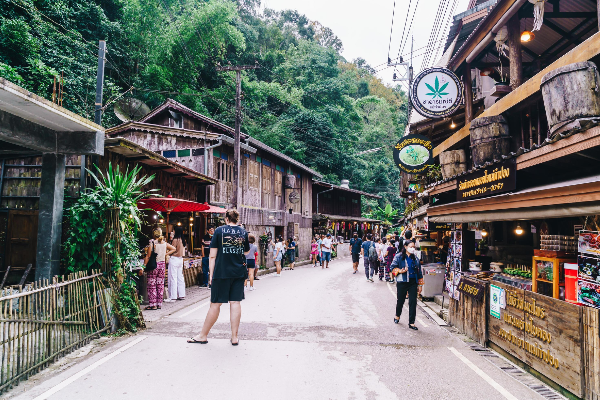 2D1N Chiang Mai & Mae Kampong Village Tour - photo 1